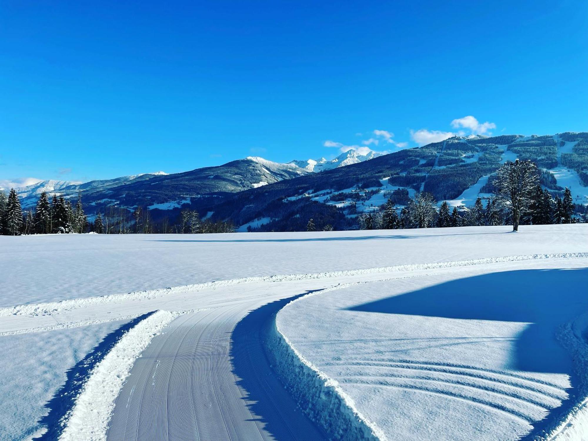Aparthotel Burglehnerhof Ramsau am Dachstein Esterno foto